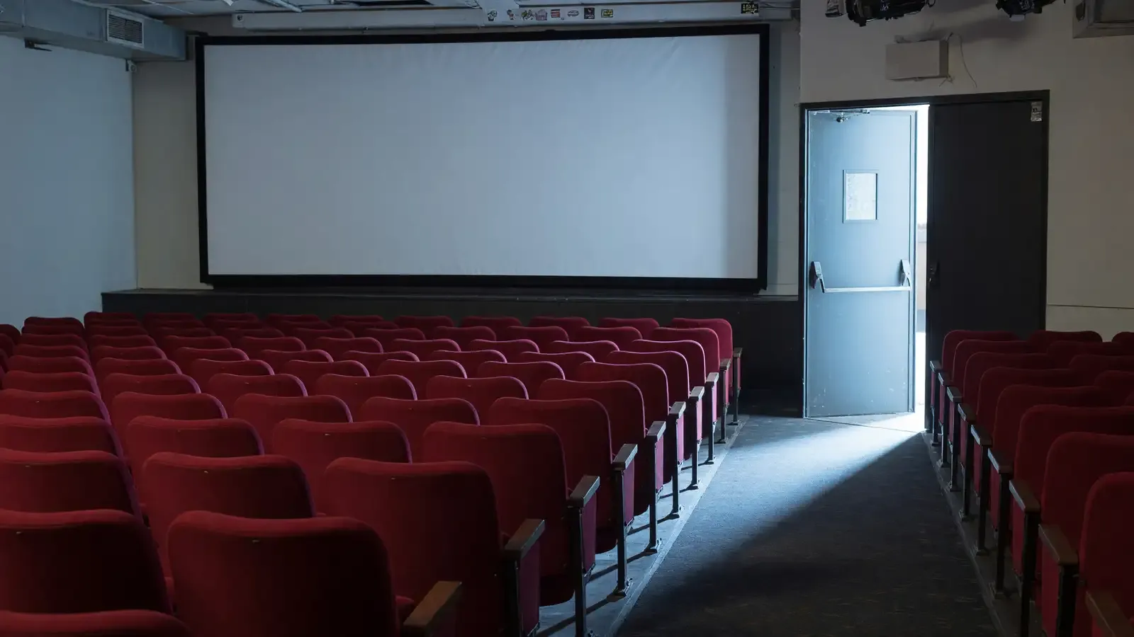 Empty festival-style cinema seats in cool daylight, a blank white screen, no titles or logos.
